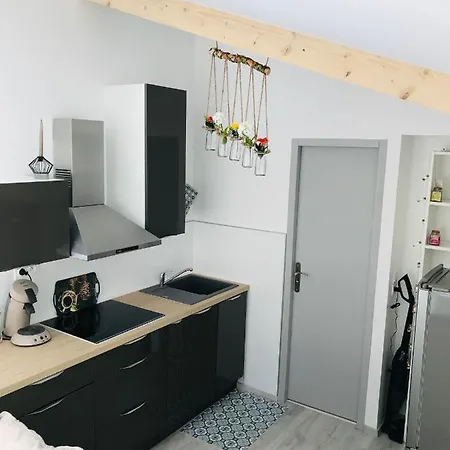 Studio Cosy Aux Facs!-2