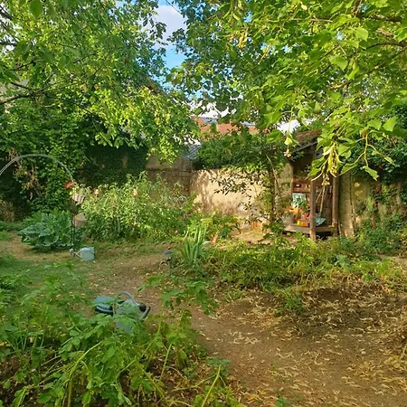 Le Clos du Moulin Dijon, piscine, la campagne à la ville, proche centre historique-3